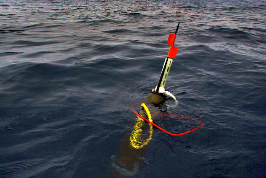 ocean float in water