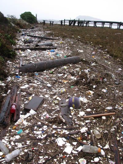 Marine Debris January 22, 2010